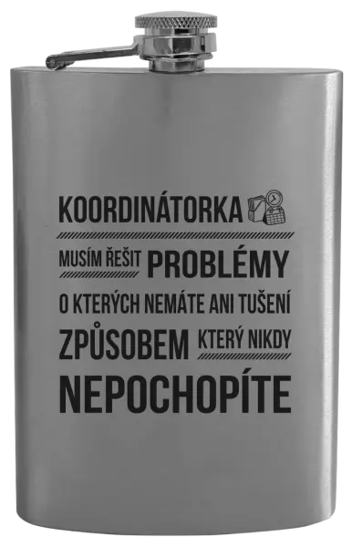 Placatka Musím řešit problémy - koordinátorka