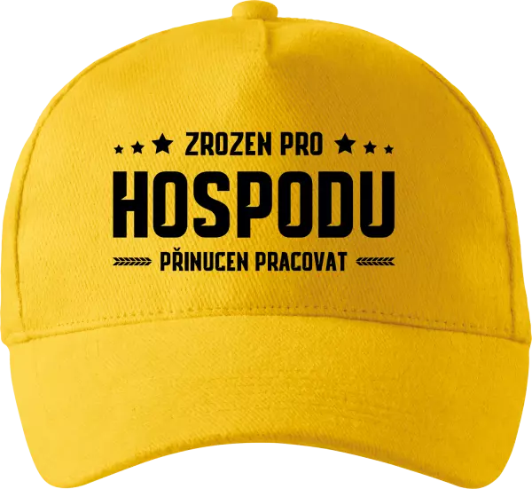 Kšiltovka Zrozen pro hospodu, přinucen pracovat