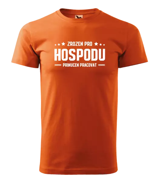 Pánské tričko Zrozen pro hospodu, přinucen pracovat