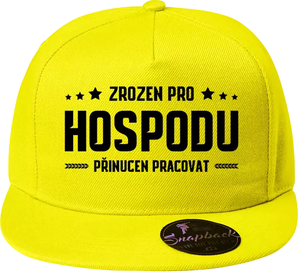 Snapback kšiltovka Zrozen pro hospodu, přinucen pracovat
