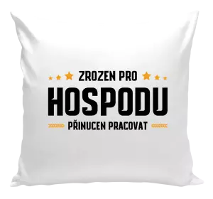 Polštář Zrozen pro hospodu, přinucen pracovat