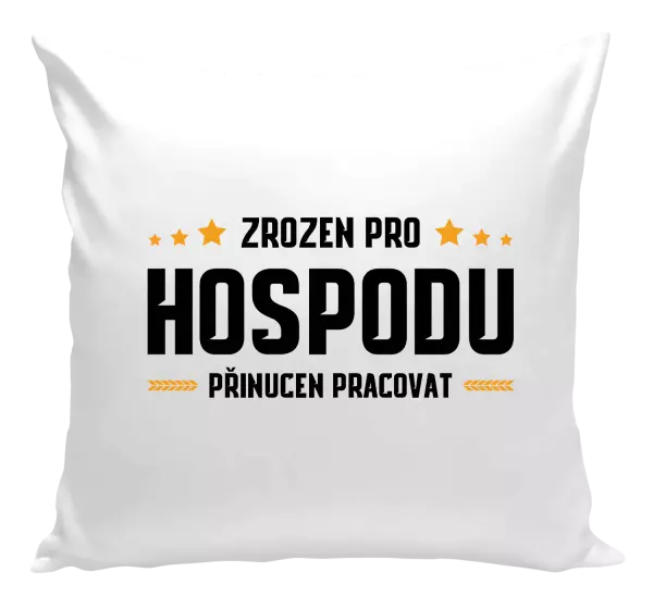 Polštář Zrozen pro hospodu, přinucen pracovat