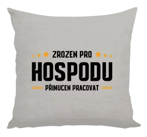 Polštář Zrozen pro hospodu, přinucen pracovat