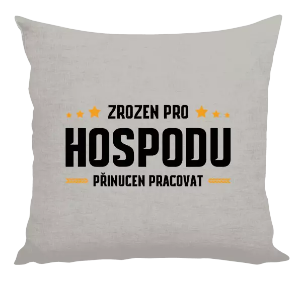 Polštář Zrozen pro hospodu, přinucen pracovat
