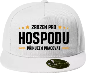 Snapback kšiltovka Zrozen pro hospodu, přinucen pracovat