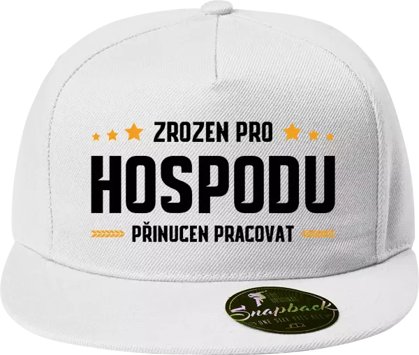Snapback kšiltovka Zrozen pro hospodu, přinucen pracovat
