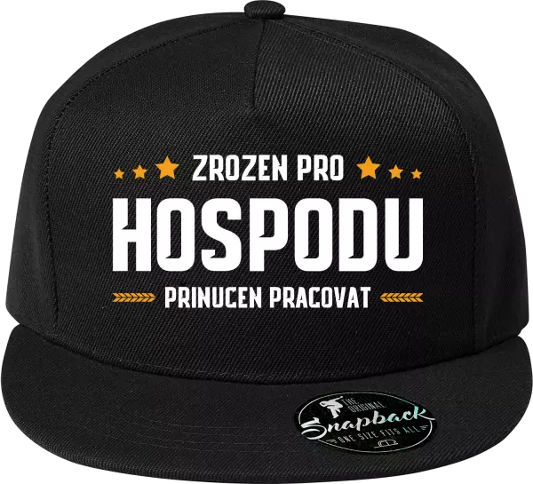 Snapback kšiltovka Zrozen pro hospodu, přinucen pracovat