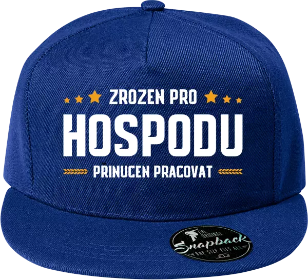 Snapback kšiltovka Zrozen pro hospodu, přinucen pracovat