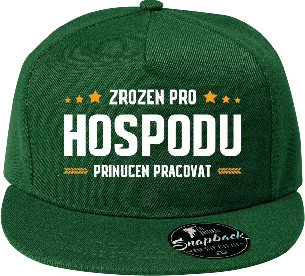 Snapback kšiltovka Zrozen pro hospodu, přinucen pracovat