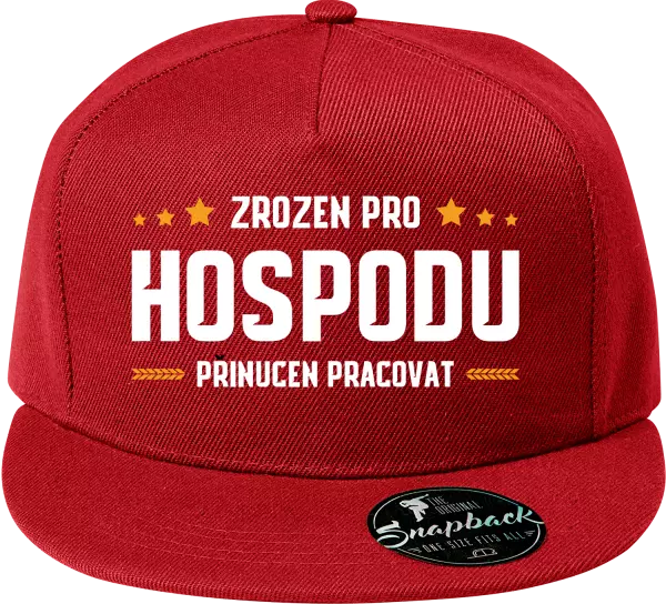 Snapback kšiltovka Zrozen pro hospodu, přinucen pracovat