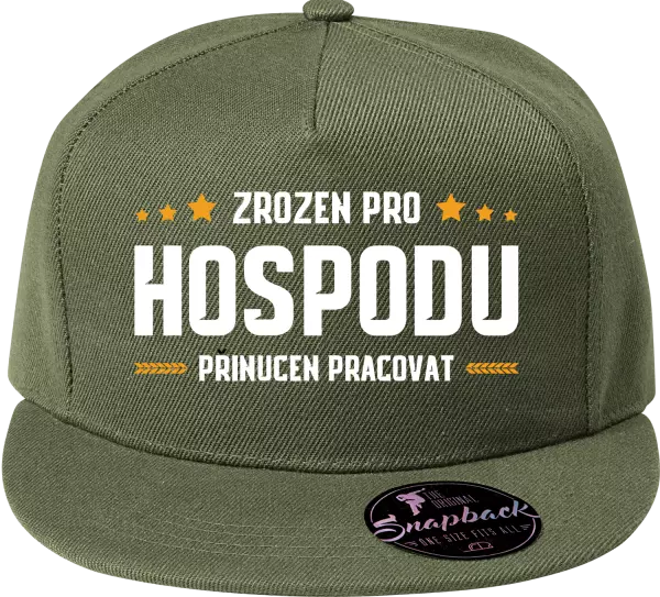 Snapback kšiltovka Zrozen pro hospodu, přinucen pracovat