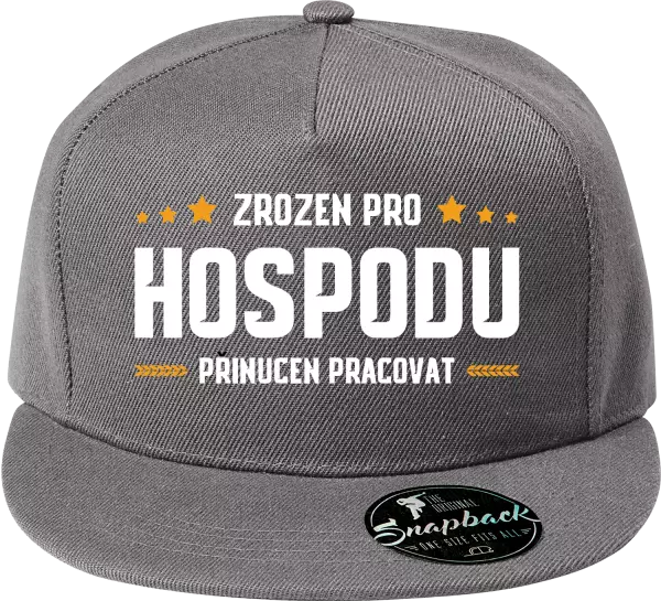 Snapback kšiltovka Zrozen pro hospodu, přinucen pracovat