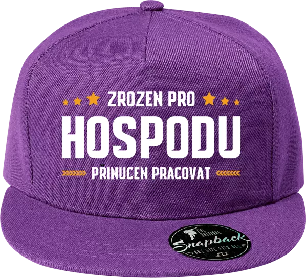 Snapback kšiltovka Zrozen pro hospodu, přinucen pracovat