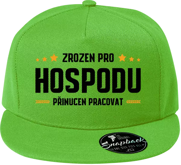Snapback kšiltovka Zrozen pro hospodu, přinucen pracovat