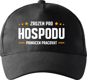 Kšiltovka Zrozen pro hospodu, přinucen pracovat