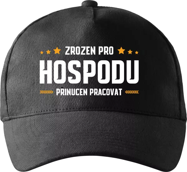 Kšiltovka Zrozen pro hospodu, přinucen pracovat