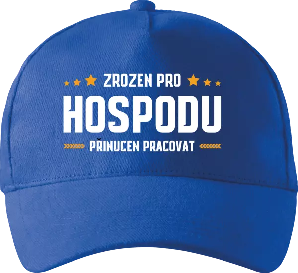 Kšiltovka Zrozen pro hospodu, přinucen pracovat