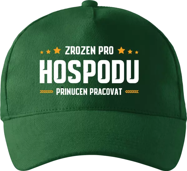 Kšiltovka Zrozen pro hospodu, přinucen pracovat