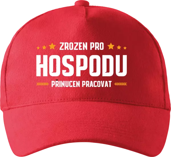 Kšiltovka Zrozen pro hospodu, přinucen pracovat