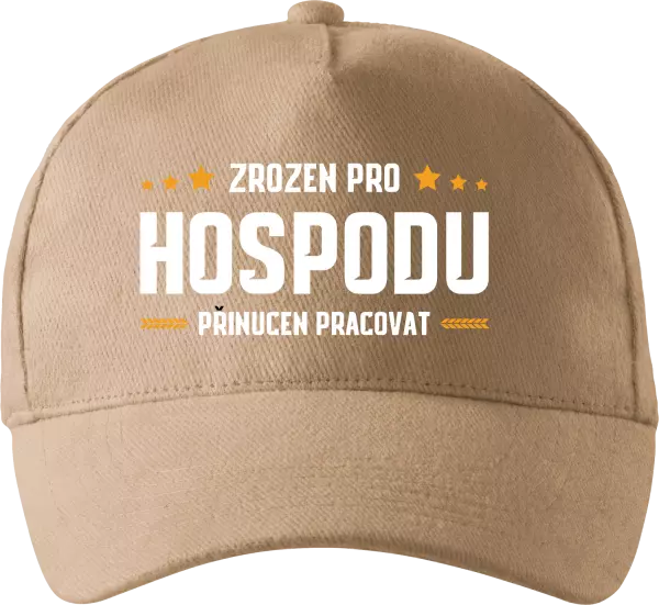 Kšiltovka Zrozen pro hospodu, přinucen pracovat