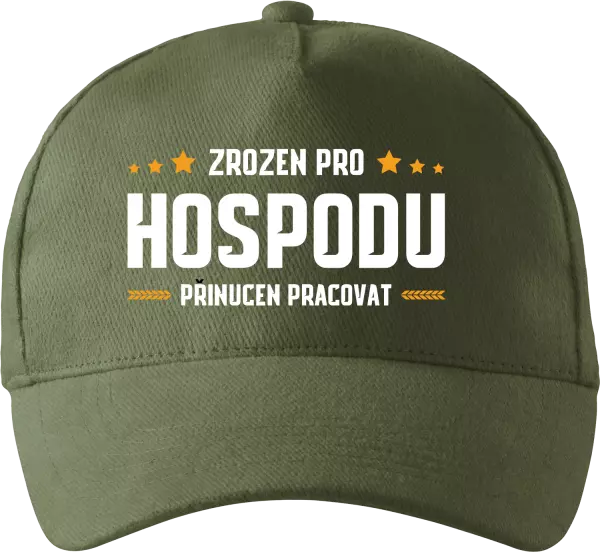 Kšiltovka Zrozen pro hospodu, přinucen pracovat