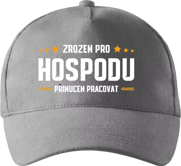Kšiltovka Zrozen pro hospodu, přinucen pracovat