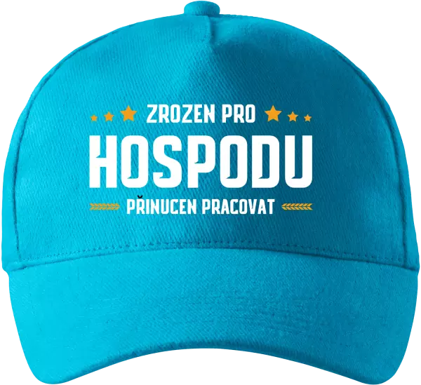 Kšiltovka Zrozen pro hospodu, přinucen pracovat