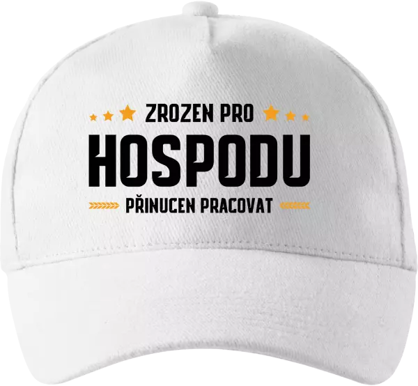 Kšiltovka Zrozen pro hospodu, přinucen pracovat