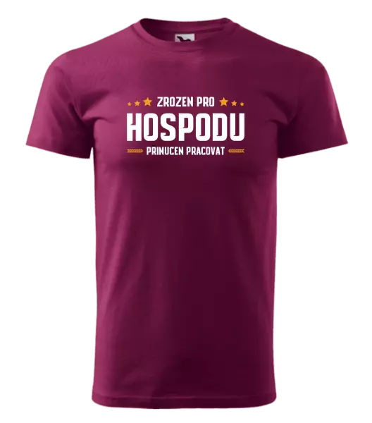Pánské tričko Zrozen pro hospodu, přinucen pracovat