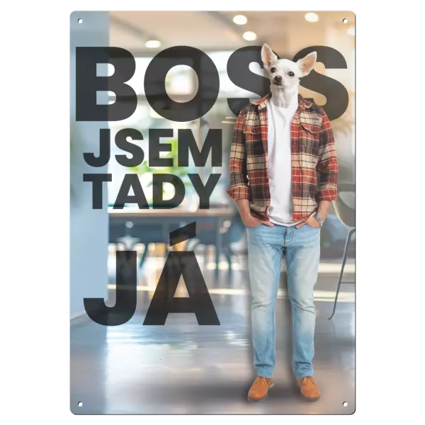 Kovová cedulka BOSS - jsem tady já
