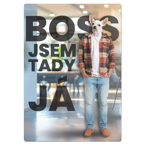 Kovová cedulka BOSS - jsem tady já