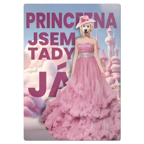 Kovová cedulka PRINCEZNA - jsem tady já