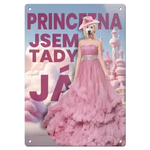 Kovová cedulka PRINCEZNA - jsem tady já