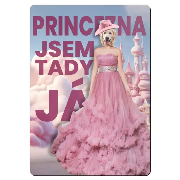 Kovová cedulka PRINCEZNA - jsem tady já