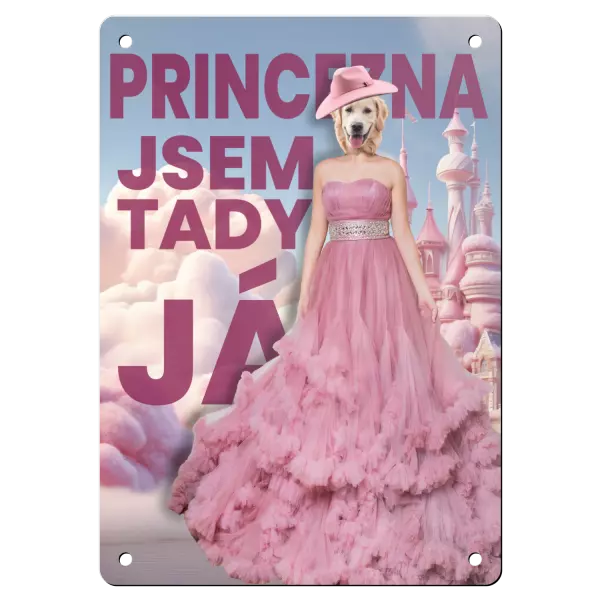 Kovová cedulka PRINCEZNA - jsem tady já