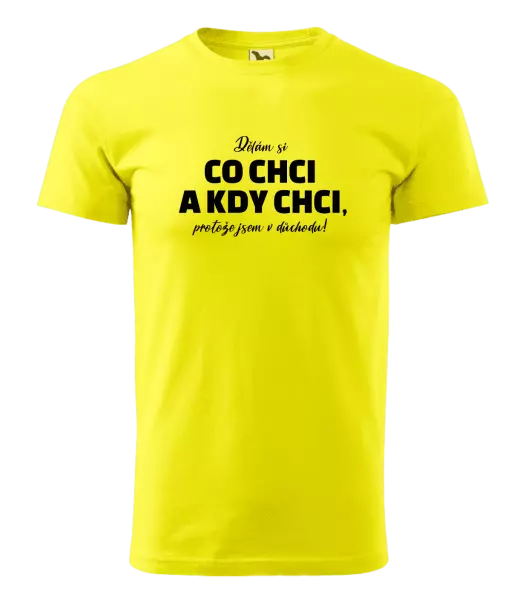 Pánské tričko Dělám si co chci a kdy chci, protože jsem v důchodu!