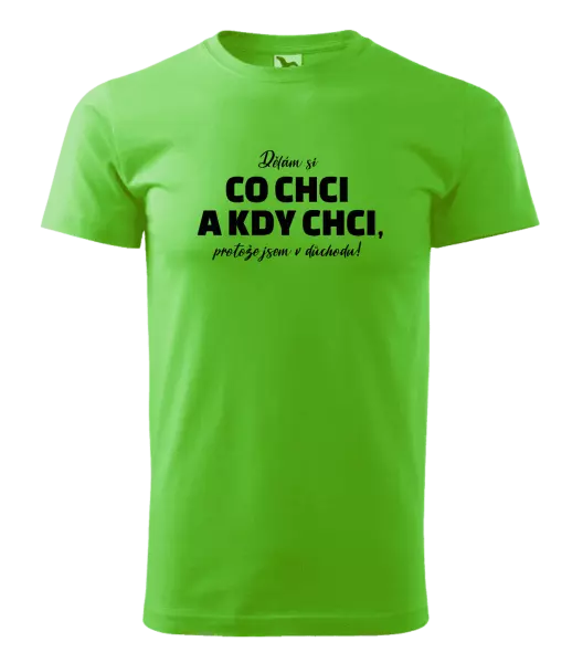Pánské tričko Dělám si co chci a kdy chci, protože jsem v důchodu!