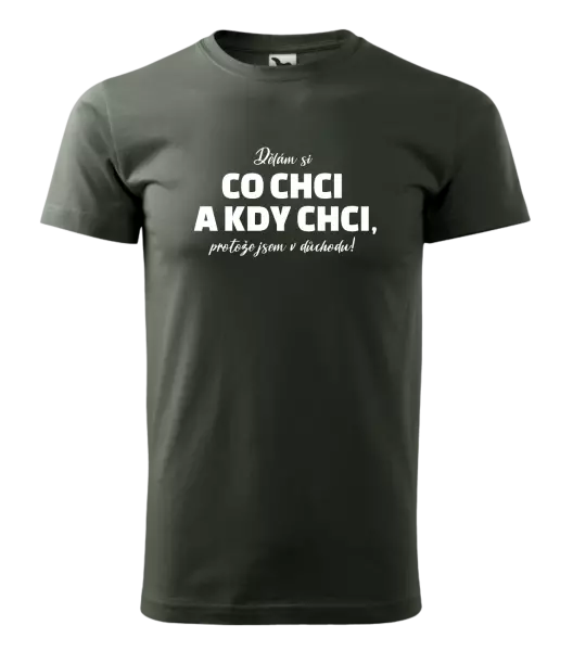 Pánské tričko Dělám si co chci a kdy chci, protože jsem v důchodu!