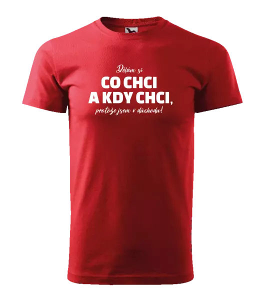 Pánské tričko Dělám si co chci a kdy chci, protože jsem v důchodu!