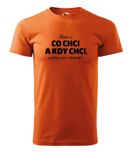 Pánské tričko Dělám si co chci a kdy chci, protože jsem v důchodu!