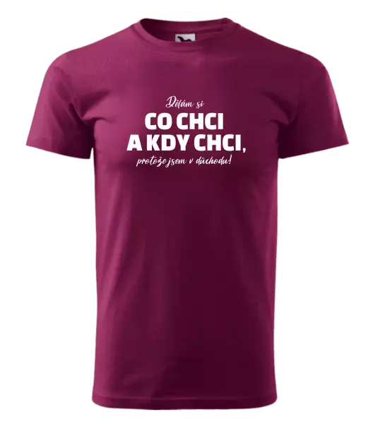 Pánské tričko Dělám si co chci a kdy chci, protože jsem v důchodu!