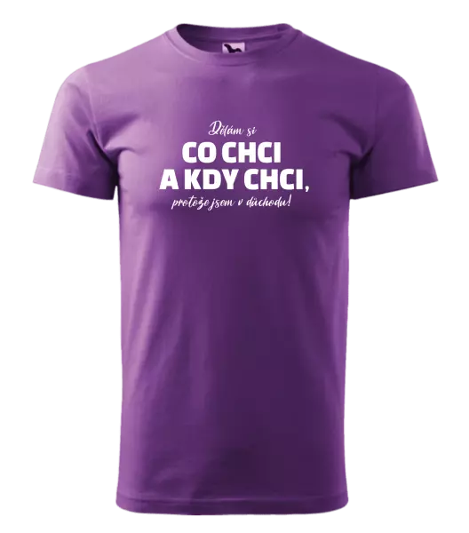 Pánské tričko Dělám si co chci a kdy chci, protože jsem v důchodu!