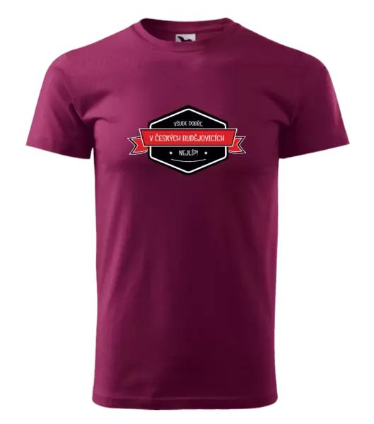 Pánské tričko Všude dobře v... nejlíp