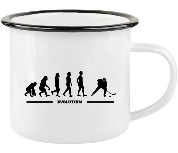 Plecháček Hockey evolution