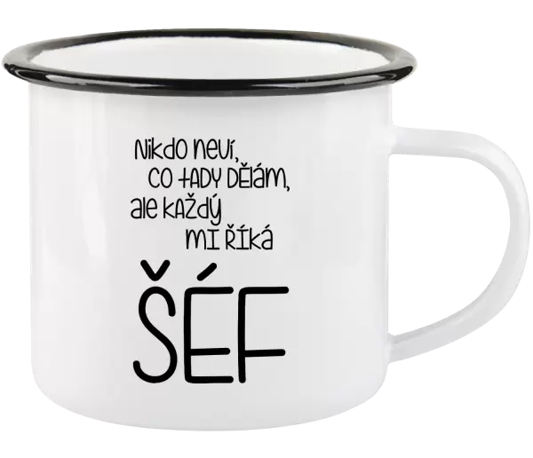Plecháček Nikdo neví, co tady dělám, ale každý mi říká šéf