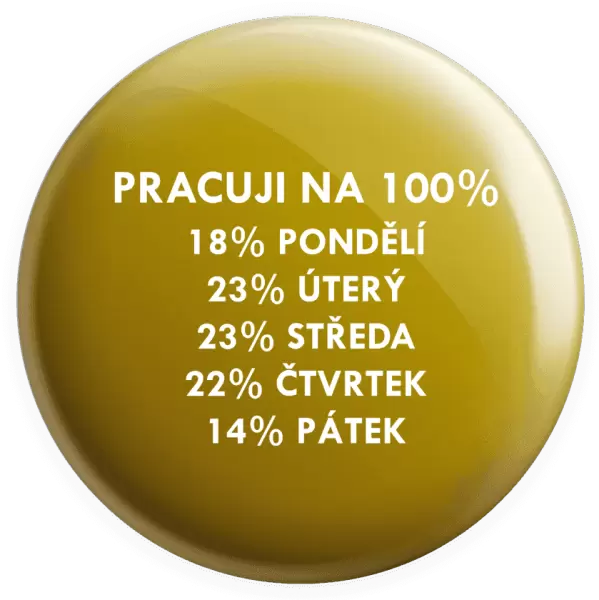 Placka Pracuji na 100%