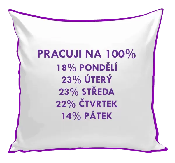 Polštář Pracuji na 100%