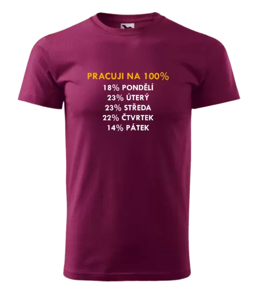 Pánské tričko Pracuji na 100%