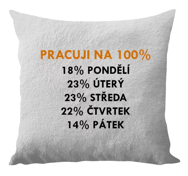 Polštář Pracuji na 100%
