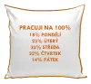Polštář Pracuji na 100%